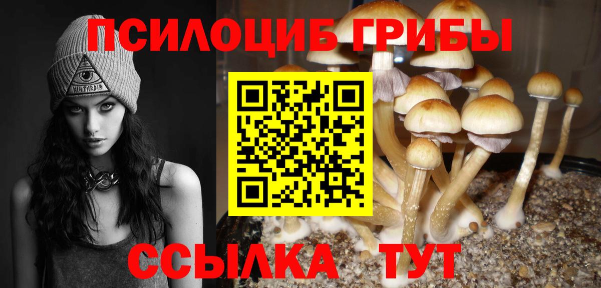 Псилоцибиновые грибы MAGIC MUSHROOMS Кыштым